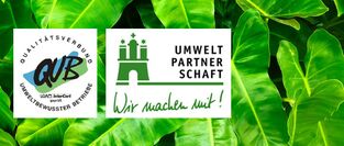 Umweltschutz in der Fahrzeugreinigung